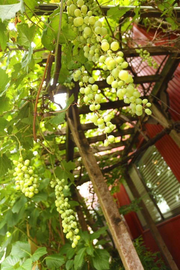 A Pousada Grapehouse Koenji Tóquio Exterior foto